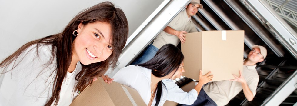 Professional Removalists Monkland